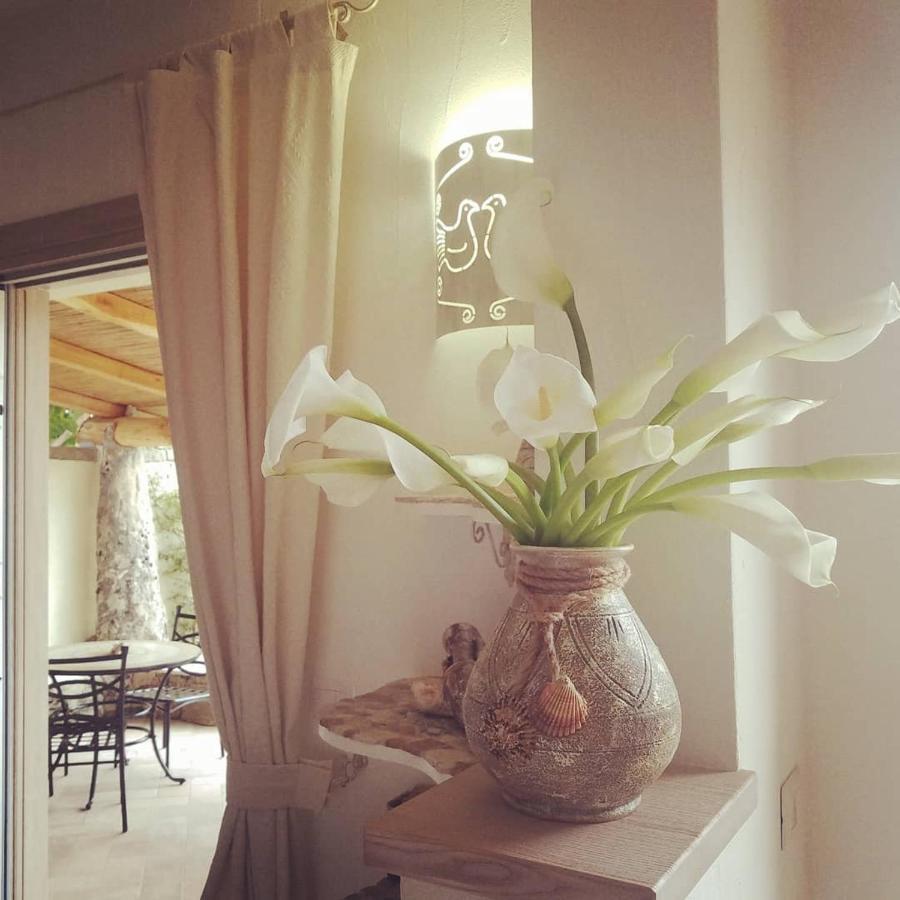 Nonna Pasqualina B&B Santa Teresa Gallura Ngoại thất bức ảnh